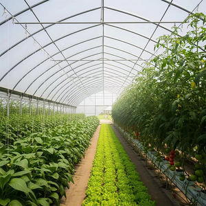 Invernadero Agrícola Multi-Span de Túnel Bajo Skyplant SP-M-G, Altura de 3m a 5m, Espacio de 4m, Material de PE Grande para Cultivo - Product Image 5