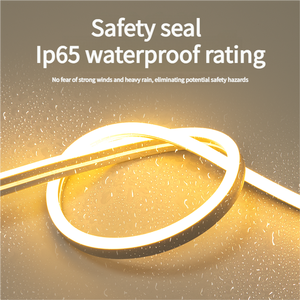 Luz <span class=keywords><strong>de</strong></span> cuerda <span class=keywords><strong>de</strong></span> neón <span class=keywords><strong>de</strong></span> silicona RGBW <span class=keywords><strong>de</strong></span> 6*12 8*16mm, <span class=keywords><strong>tira</strong></span> <span class=keywords><strong>de</strong></span> luz LED <span class=keywords><strong>de</strong></span> neón <span class=keywords><strong>de</strong></span> 12V CC Flexible, cinta LED para iluminación interior y exterior, 1/2/2/2/2/2/2/3/4/2 - Product Image 4