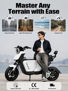 Vélo de montagne tout-terrain puissant 1500W pour adultes, double suspension, freins à disque, longue autonomie, Ebike, Fournisseur OEM ODM, UB-2 - Product Image 6