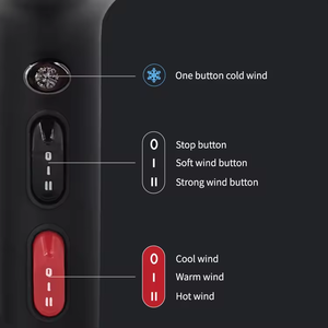 Brand New With High-Speed AC Motor Electric Plastic Concentrator Nozzle Factory Price Salon <strong>Hair</strong> <strong>Dryer</strong> Set - Product Image 4