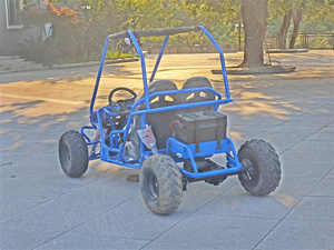 <span class=keywords><strong>Dune</strong></span> Buggy <span class=keywords><strong>Comprar</strong></span> 1000W Eléctrico Go Kart Eléctrico 2 Plazas Go Kart Para Niños - Product Image 4