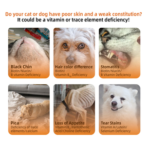 Gocce liquide multivitaminiche personalizzate in fabbrica adatte a cani e gatti per integrare la vitamina B giornaliera richiesta dagli animali domestici - Product Image 3