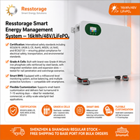 Batterie solaire LiFePO4 16 kWh à cycle de vie élevé, 51,2 V, pour systèmes de stockage d'énergie domestiques