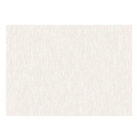 Tapis de sol en polyester imperméable couleur unie 10 mm, anti-salissure, sans lavage, pour salon et chambre à coucher - Vente en gros