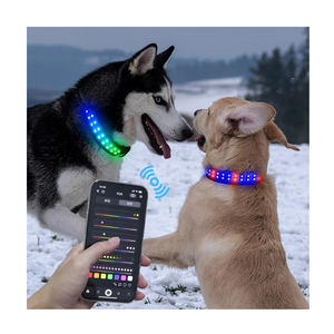 Bluetooth App Control Oplaadbaar Voorkom Verlies Waarschuwing Kleurrijke Knipperende Led Licht Halsband Benodigdheden Voor Nachtelijke Uitlaathond - Product Image 1