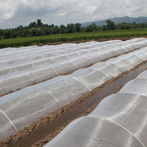 <strong>Insect</strong> Netting Anti UV Agriculture Greenhouse <strong>Mesh</strong> for Greenhouse Vegetable Garden Plants Care Anti <strong>Insect</strong> Net - Product Image 2