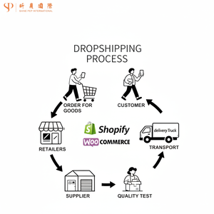 Agente de Shopify, Envío Económico a Francia, Europa, Productos de Dropshipping 2025, Servicios de Logística DDP, Dropshipping - Product Image 1