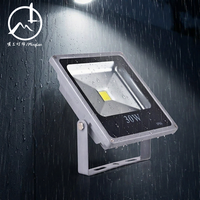 Projecteur LED 30W IP66 en aluminium, lumière de paysage, CRI élevé 80, blanc neutre 4100K, garantie 2 ans pour les terrains de sport