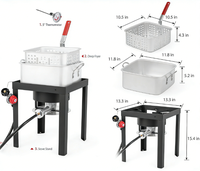 Friteuse à gaz propane d'extérieur en aluminium de 12 Qt, 50 000 BTU, avec panier intérieur nano-enduit pour la friture de poisson, de poulet, de frites, pour l'extérieur