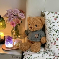 Boneka Beruang Teddy Sweater Lembut 25cm, Boneka Beruang Berpakaian, Hadiah Mesin Arcade Pusat Perbelanjaan, Penjualan Langsung, Barang Berkualitas