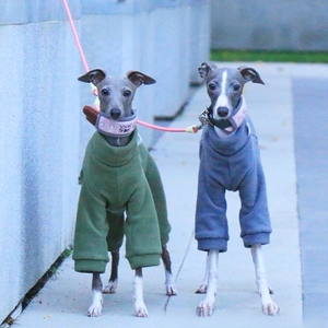 Sudadera con Capucha para Perro, Diseño Geométrico Simple con Estampado de Dinosaurio, Cuello Alto, Cálida, de Poliéster Grueso para Invierno, para Whippet y <span class=keywords><strong>Galgo</strong></span> Italiano - Product Image 3