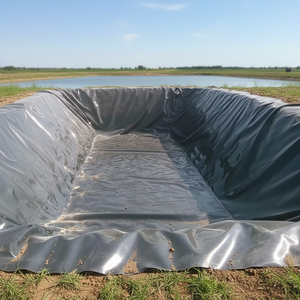 Géomembrane HDPE sur mesure, épaisseur de 0,2 mm à 3,0 mm, vente directe d'usine, pour décharges et mines - Product Image 1