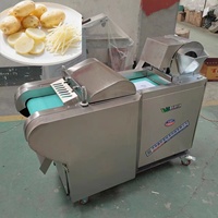 Hoge capaciteit groente- en fruitsnijmachine, -versnipperaar en -blokjesmachine, automatisch, elektrisch, 220V, commerciële groentesnijder