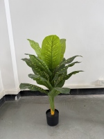Arbre Bonsaï Artificiel pour la Maison et le Jardin, Plantes Artificielles d'Extérieur, Accessoire pour Restaurant Africain, Arbre Artificiel