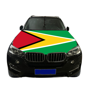 Couverture <span class=keywords><strong>de</strong></span> capot <span class=keywords><strong>de</strong></span> voiture nationale abordable drapeau Guyana couverture <span class=keywords><strong>de</strong></span> moteur <span class=keywords><strong>de</strong></span> voiture drapeau vente directe d'usine tissu polyester - Product Image 3