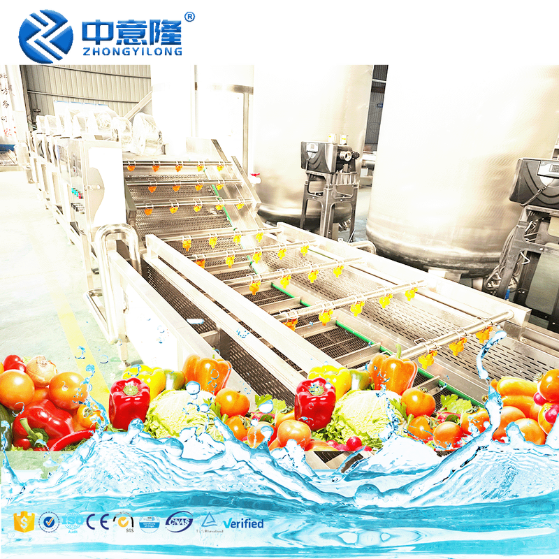 Industrial Tomato apple Mango Washer Carrot