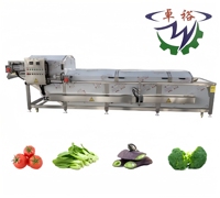 Industriële Fruitgroente Clean Line Commerciële Custom Groente Fruit Maïs Sorteren Blancheren Lucht Drogen Machine