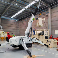 Mini-grue araignée sur chenilles 1t 2t 3t 5t 8t 10t 12t, ventouse de levage de verre, plateforme de travail aérienne pour vitrage CE
