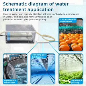 EddaAir-Sistema de cultivo hidropónico para jardín, ionizador bipolar de agua activada por plasma, para fresa, de jardín