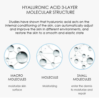 Sérum Visage et Corps Luxe à l'Acide Hyaluronique et Vitamine C, Aloe Vera, Thé Vert, Hydratant, Éclaircissant, Anti-rides, Non Testé sur les Animaux, 30mL