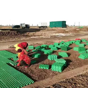 Adoquines de plástico HDPE para jardín, pavimentadora de césped verde para estacionamiento, panal de abeja, grava