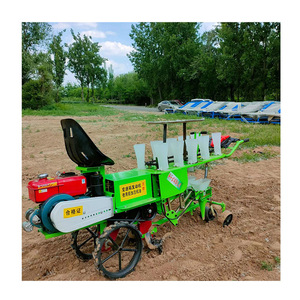 Nouveau modèle 2024 transplanteur de semis de tomates automoteur pour la machine de repiquage d'aubergines à rendement agricole moderne - Product Image 2