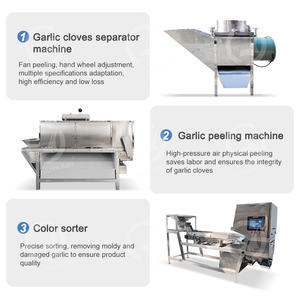 Máquina de proceso de polvo de ajo OCEAN, planta de proceso de cáscara de ajo automática, línea de producción de polvo de ajo - Product Image 3