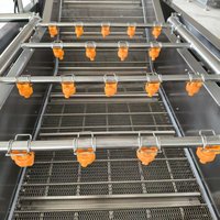 Volledig automatische groentewasmachine met bubbelsysteem voor voedselverwerkingsfabrieken