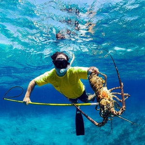 Poste de <span class=keywords><strong>pesca</strong></span> <span class=keywords><strong>submarina</strong></span> de fibra de vidrio para poste de buceo lanza 2 piezas Sling Pole M6 Prong Barb paralyzer Tips & Travel Bag - Product Image 6