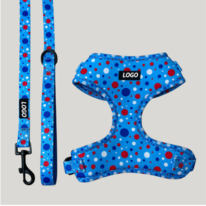 Arnés y Correa para Perro Personalizado de Diseño Premium, Ajustable, Sin Tirones, con Logotipo Personalizado de Lujo - Product Image 1