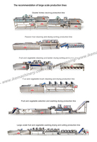Industriële grootschalige spiraalvormige blancheringsmachine voor aardappelen, kokosvlees, snoep, en zeevruchtenverwerkingslijn, capaciteit 2000 kg/uur