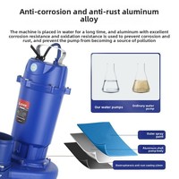 Moteur en cuivre pur 0,5 CV pour décharge d'eaux usées à haut volume et haute pression, sortie coudée à grand débit, prise d'eau de rivière, OEM durable