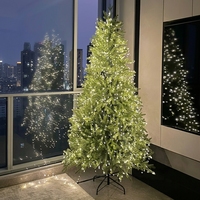 Guirlande lumineuse LED d'extérieur JIAXUN en gros pour Noël, avec télécommande, modes de défilement étoilé et design feu d'artifice, pour fêtes