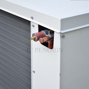 Raffreddatore d'aria delle unità di condensazione di refrigerazione dell'evaporatore raffreddato ad aria di prezzo competitivo a basso rumore - Product Image 5