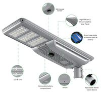 Lámpara LED Solar Integrada de Alta Resistencia de Aluminio de 200LM/W, de 30W a 120W, para Proyectos de Carreteras y Uso Urbano, Ventas Anuales de Más de 100K