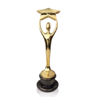 Vente chaude créatif simple portrait trophée en métal personnalisé danse musique concours résine décorations en métal