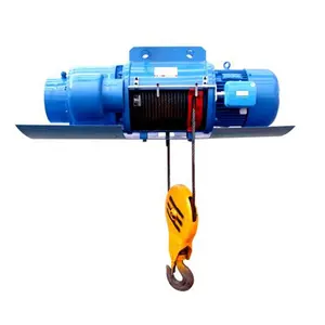 China Customized Electric Wireless Remote Control Electric Wire Rope Hoist 1t 2t 3t 5t 10t