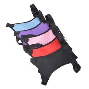 <span class=keywords><strong>Harness</strong></span> Anjing Kucing Nibao, Rompi Hewan Peliharaan yang Dapat Disesuaikan, Tali Jalan untuk Anak Anjing, <span class=keywords><strong>Harness</strong></span> Jaring Poliester untuk Anjing Kecil dan Sedang - Product Image 4