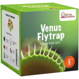 Vente chaude Venus Flytrap Starter Kit Cultivez Vos Propres Plantes Carnivores Jardin En Plein Air Maison Pépinière Animal Sol Utilisation De Bureau - Product Image 2