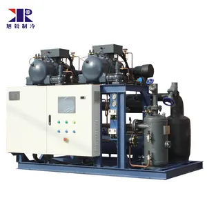 screw compressor RC2-140B air cooled condensing unit for vegetable cold storage room