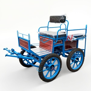 Carroza Eléctrica sin Caballos para Maratón, Diseño Moderno - Product Image 6