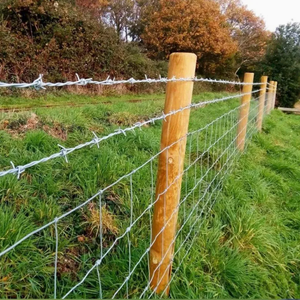 Rouleau de fil barbelé à double torsion galvanisé, anti-rouille, pour clôture de sécurité des fermes, ranchs et bétail - Product Image 2