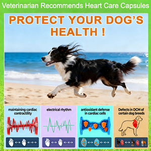 Meistverkaufte Hochwertige Herzpflege-Kapseln für Haustiere mit Taurin für Hunde und Katzen, Schnelle Absorption, Immununterstützung, Augen- und Herzgesundheit - Product Image 3