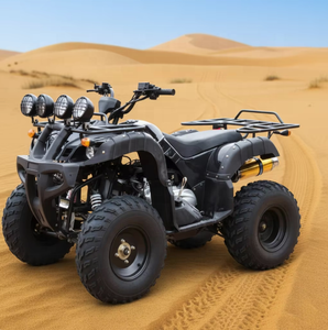 Cuatrimotos chinas <span class=keywords><strong>de</strong></span> 250cc con freno <span class=keywords><strong>de</strong></span> disco hidráulico LNA, construidas para uso diario y <span class=keywords><strong>alquiler</strong></span>. - Product Image 5