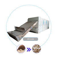 Commerciële Baobabpulpdroger, droogmachine, fruitpulpverwerkingsapparatuur