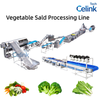 Celink Brand Automatische Op Maat Ontworpen Fruit- en Groenteverwerkings- en Verpakkingslijn