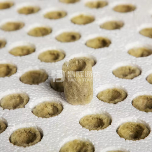 Bán hàng nóng cà chua dưa chuột Tuyên Truyền Vòng Hạt Giống chất nền cây giống khay đá len phích cắm - Product Image 3