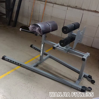 Multi Gym Equipment Sit up Bench Hip Abductor Back Exercise Machine Prone Roman Chair Glute Ham Developer GHD