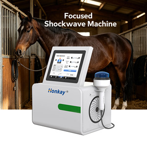 Factory Price <b>Shockwave</b> <b>Machine</b> Touch Screen Sports Injury Recovery Focused <b>Shockwave</b> Device for Animal Use - Product Image 1