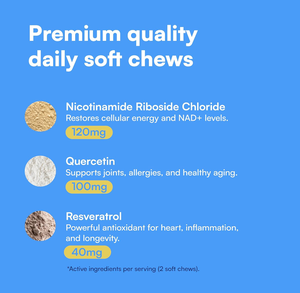 OEM Custom Label NAD + Precursor Chews & Vitamins - NMN Alternative pour la longévité, l'anti-âge et l'énergie Supplément santé pour animaux de compagnie - Product Image 3